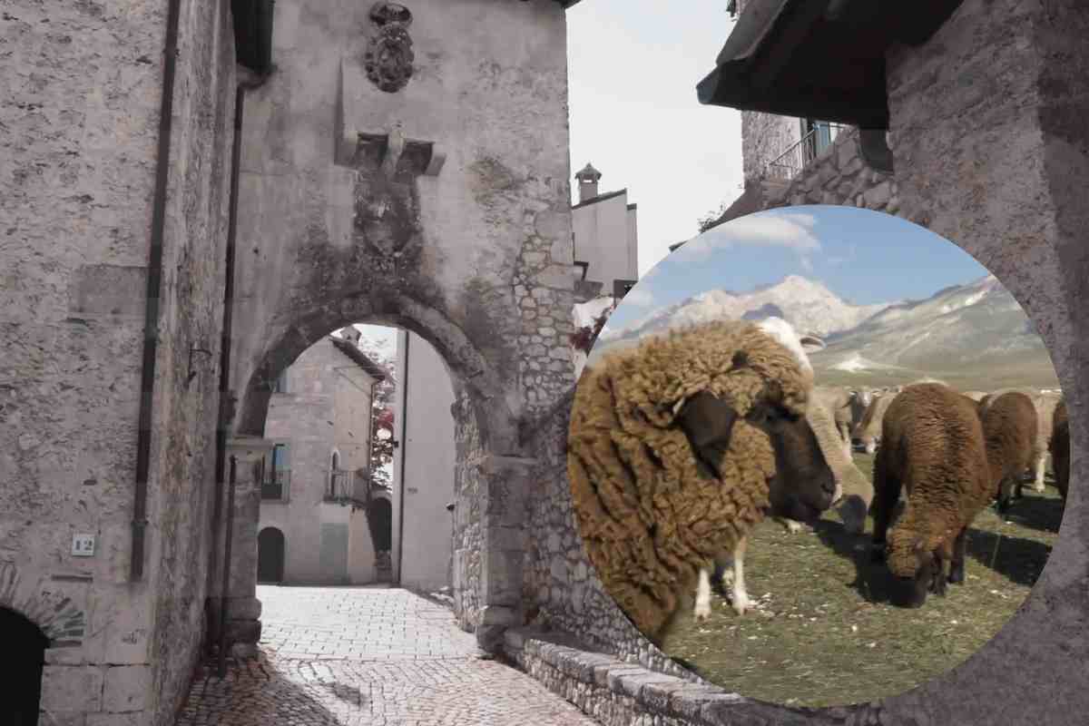 il centro di castel del monte e nel cerchio alcune pecore