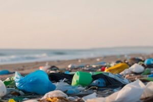 spiaggia con rifiuti