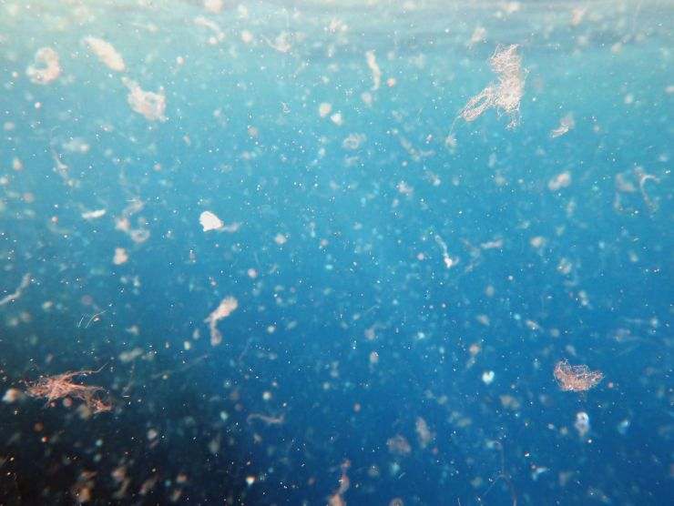 microplastiche in mare