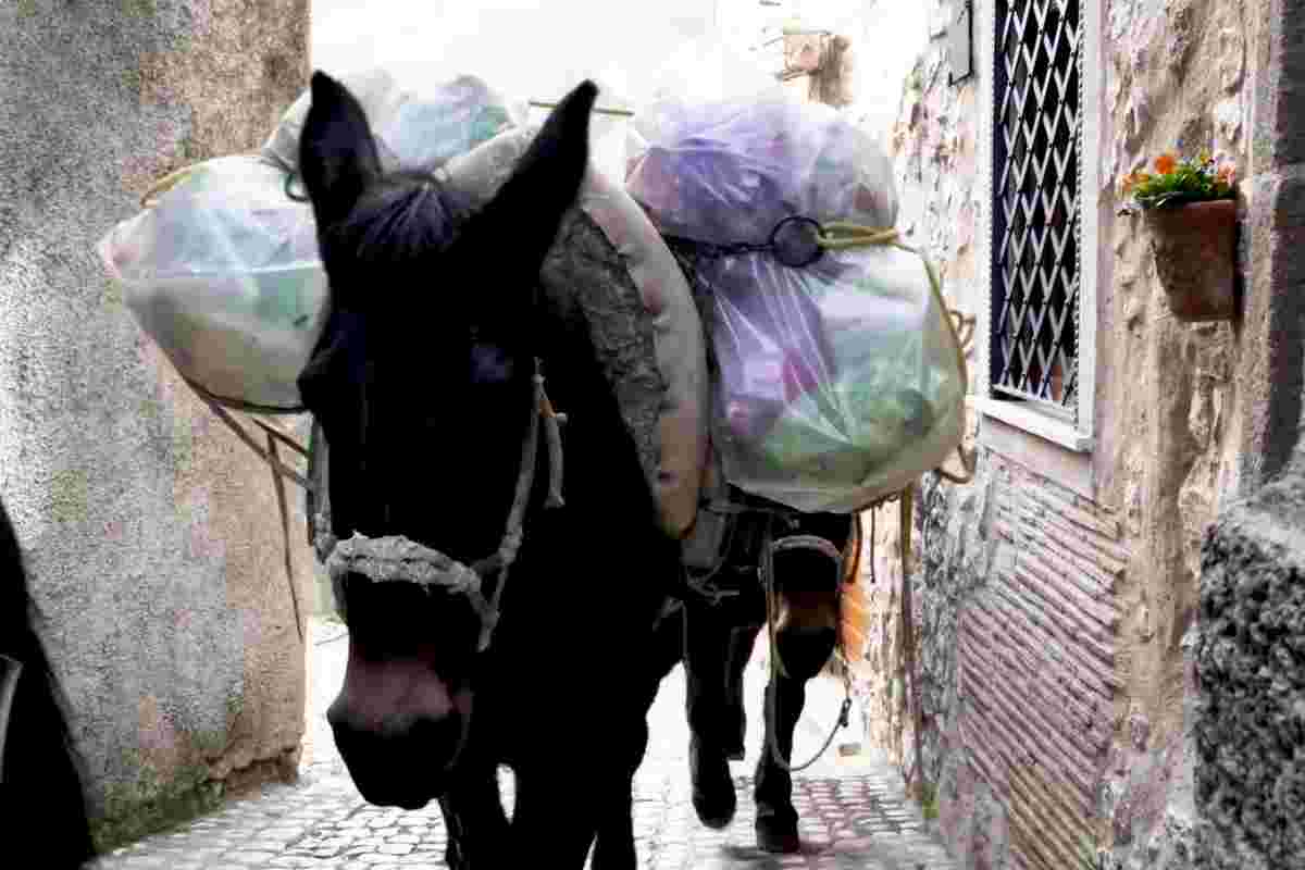 Muli raccolgono la spazzatura ad Artena