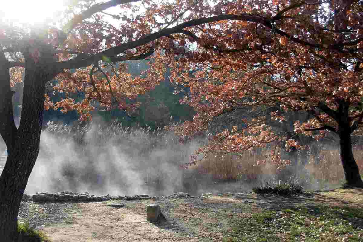 il bosco attorno alle Caldane di Colle Val d'Elsa
