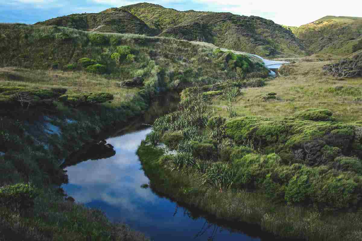 dettaglio del lago di monticchio