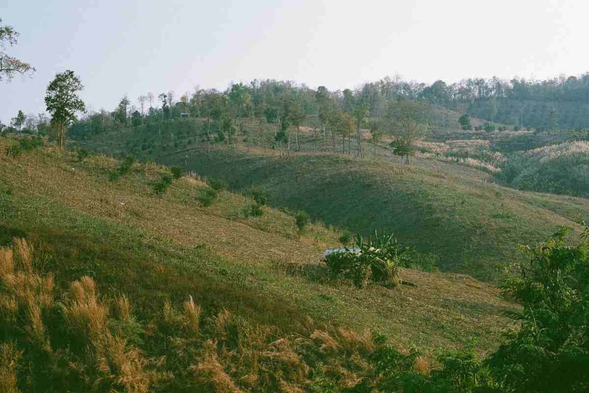Le campagne della Maremma