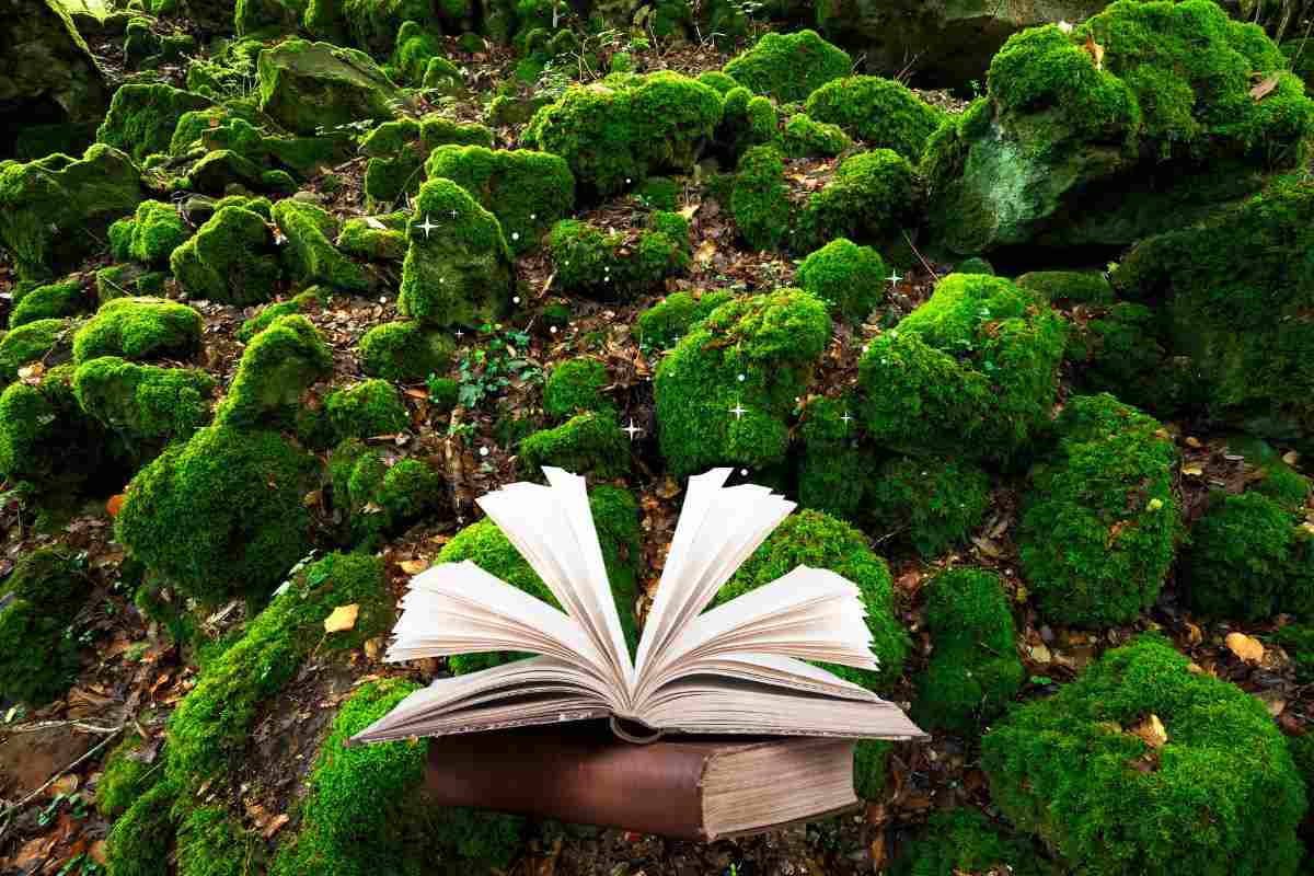 bosco del sasseto e libro delle favole