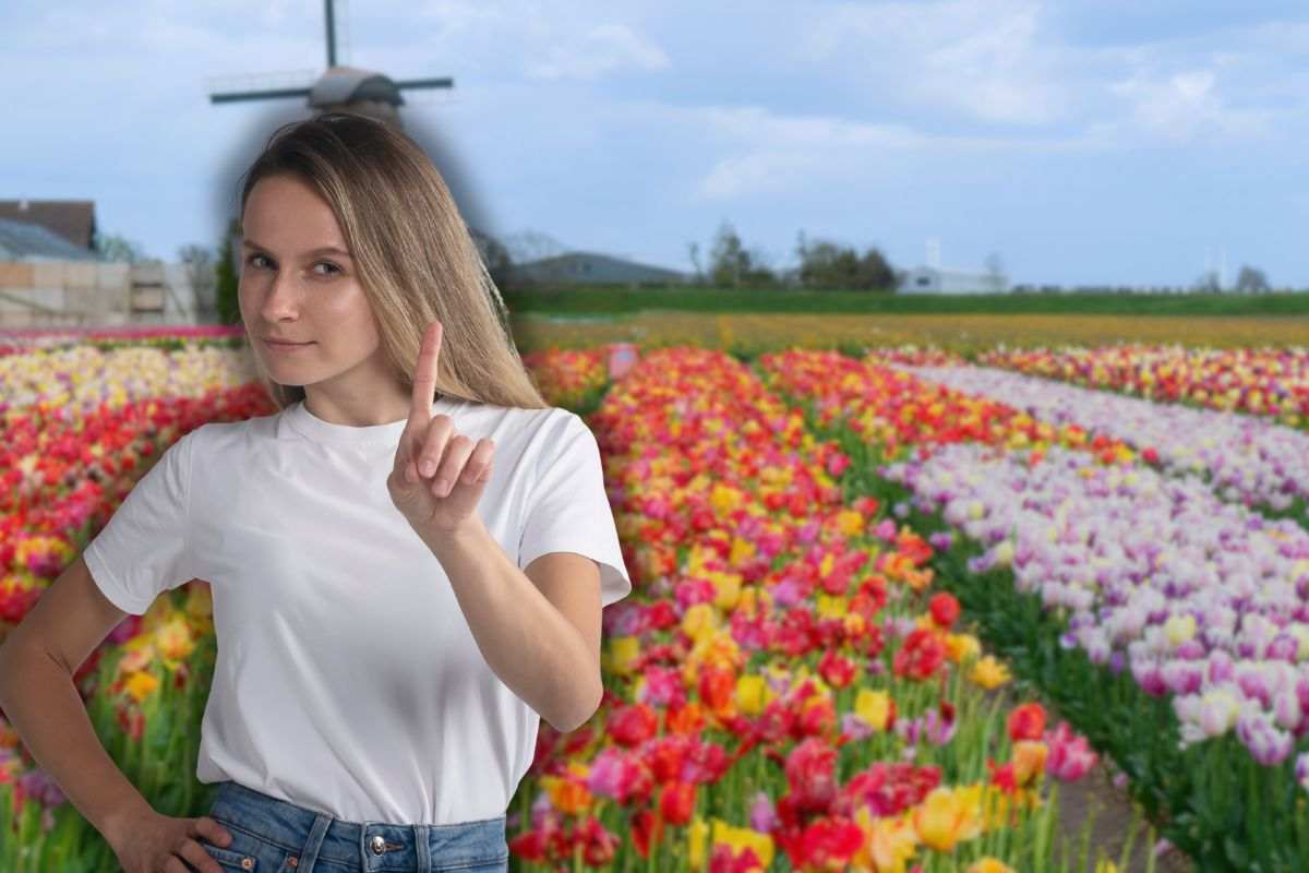 campi tulipani olandesi e donna che dice no con le mani