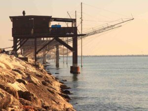 scorcio di sottomarina di chioggia