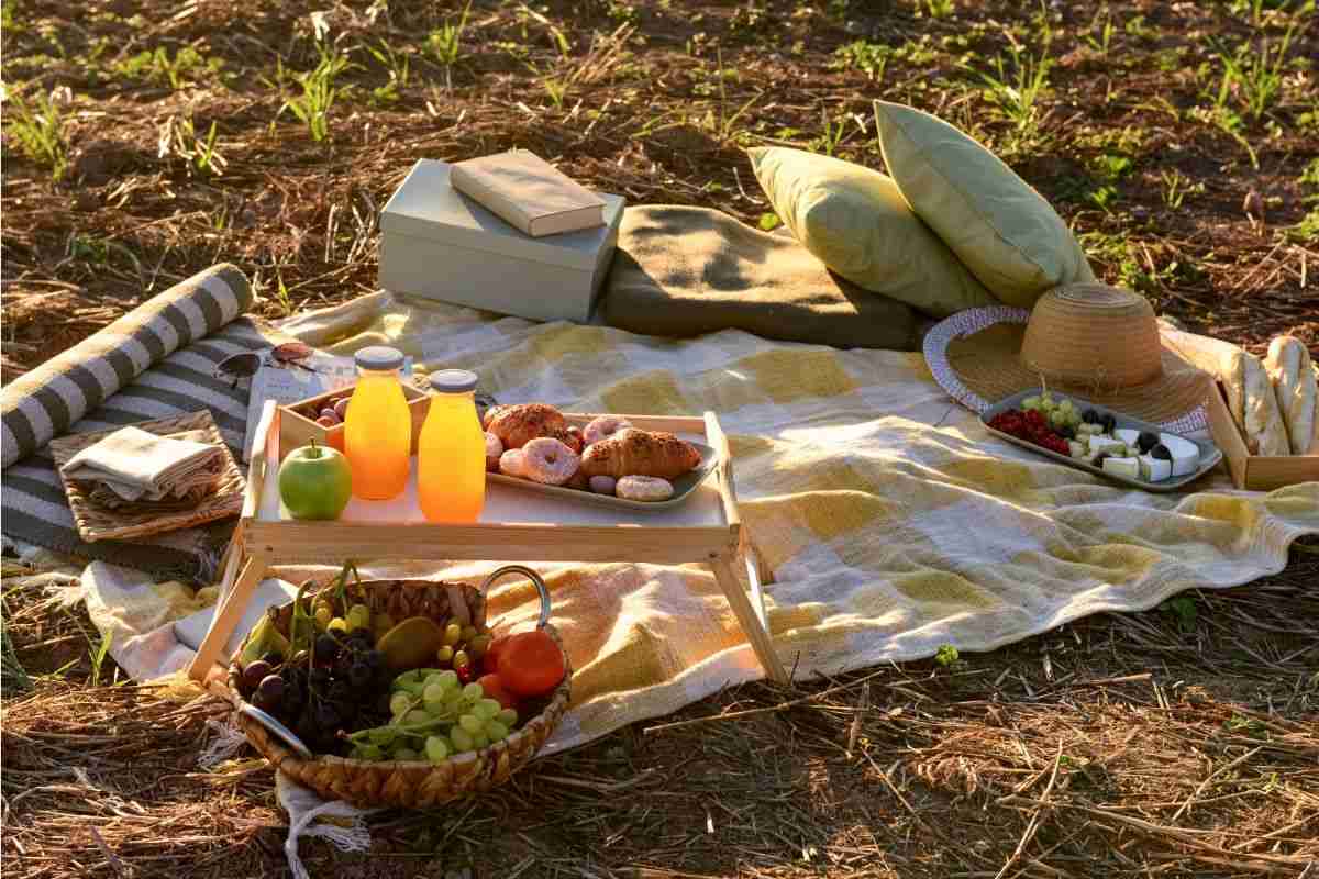 picnic